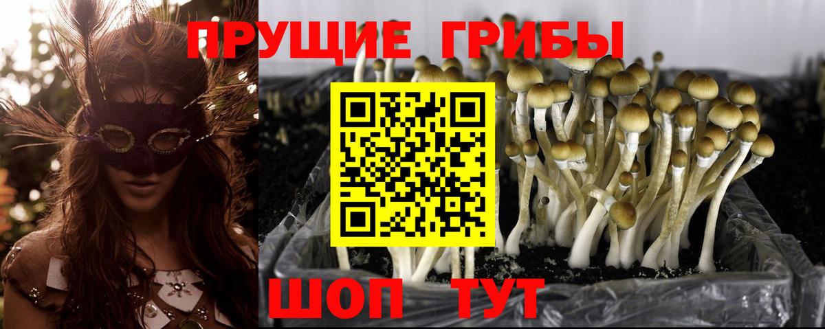Галлюциногенные грибы ЛСД  Вход с VPN  Киселёвск 